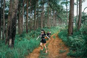 BIB: 
                            <button type="button" onclick="openModal(25741199)" class="btn btn-primary btn-sm float-right btn-popup" data-toggle="modal" data-target=".modal-high-quality">
                        <i class="fas fa-shopping-cart"></i> Add to Cart
                    </button>
                                            <button type="button" onclick="isThisMe(25741199, true)" class="btn btn-success btn-sm float-right btn-popup btn-isme hidden" data-toggle="tooltip" data-placement="bottom" title="นี่คือรูปของคุณใช่ไหม คลิกที่นี่เพื่อเอาเข้าอัลบั้ม">
                        <i class="fas fa-plus"></i> Add to album
                    </button>
                    <button type="button" onclick="isThisMe(25741199, false)" class="btn btn-warning btn-sm float-right btn-popup btn-isnotme hidden">
                        <i class="fas fa-ban"></i> Remove from album
                    </button>